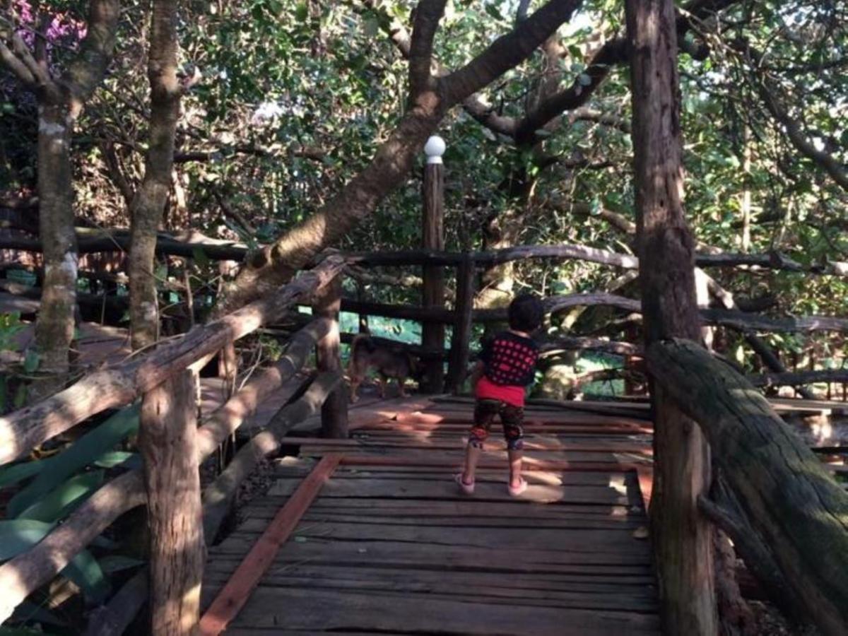 Tree Top Eco-Lodge Banlung Bagian luar foto